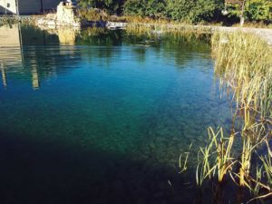 Плавательный пруд-размером-640-м.кв-более 1000 м.куб воды