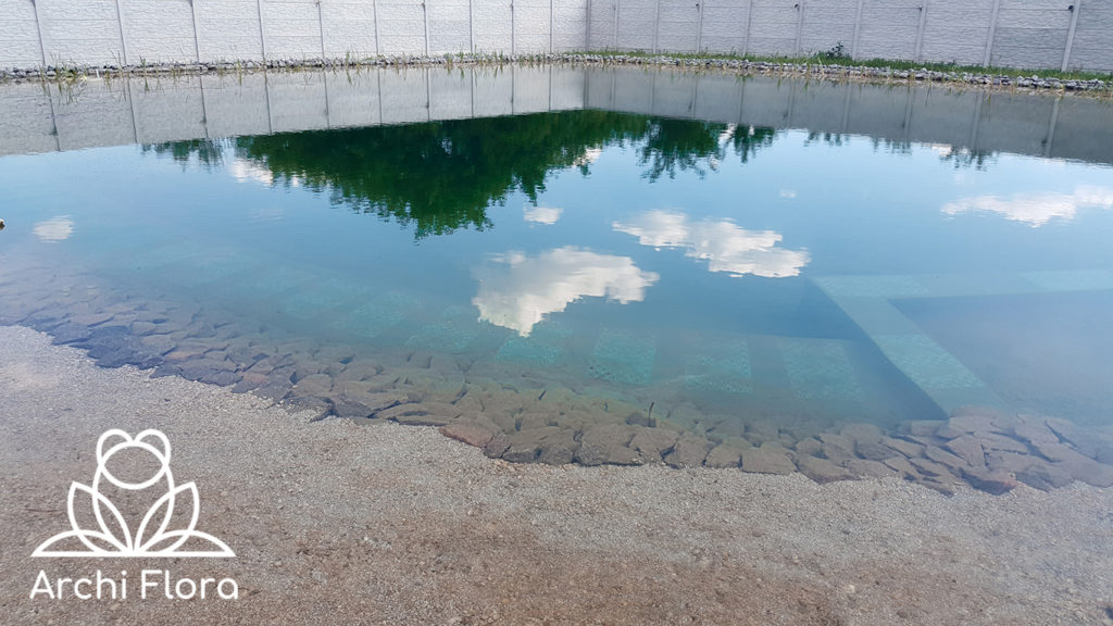 Вода в пруду на 600 м квадратных в Харькове - 2017 год