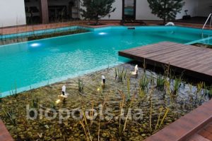 БиоБассейн без хлорки Biopools