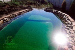 Фильтрация воды в пруду