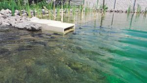 Скимер для пруда Biopools