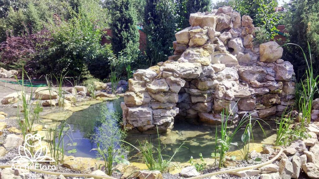 Окончание строительства водоема с водопадом высадка растений