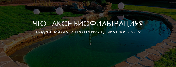 Что такое биофильтрация?